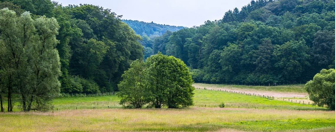 Urlaub Bergische Land