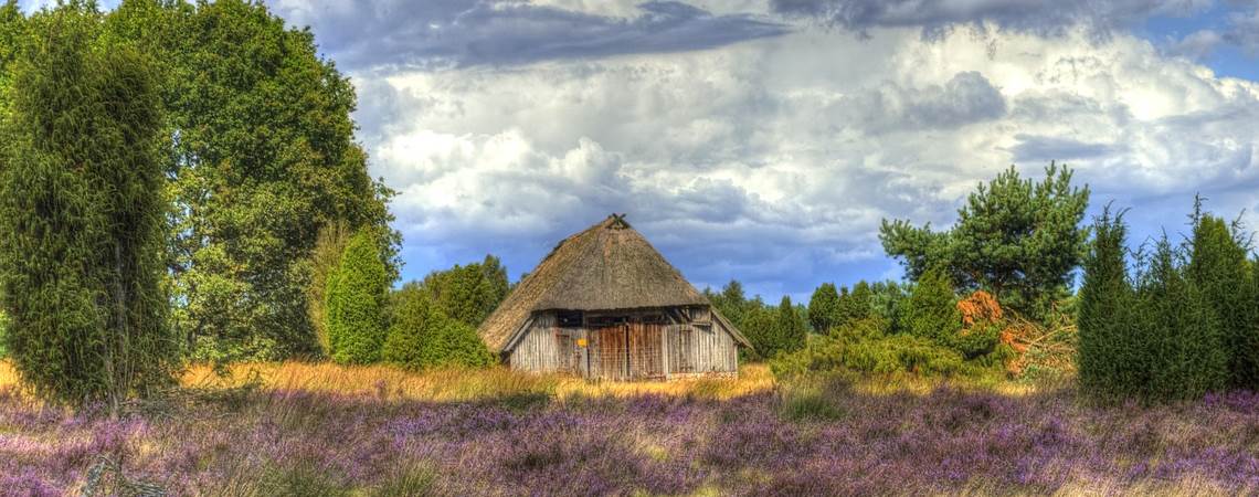 Urlaub Lüneburger Heide