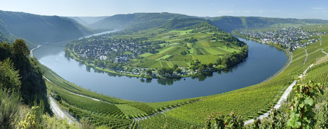 Urlaub Mosel