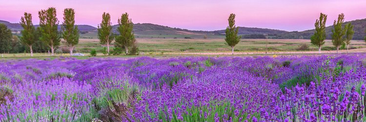 Urlaub Provence