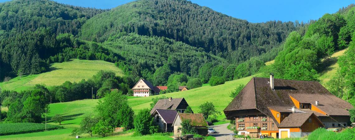 Urlaub Schwarzwald