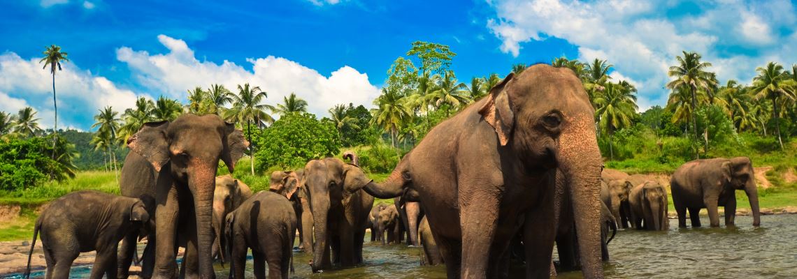 Urlaub Sri Lanka