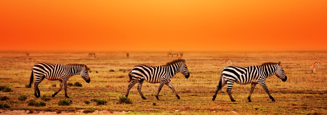 Urlaub Tansania